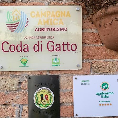 Agriturismo Coda Di Gatto Eraclea Extérieur photo